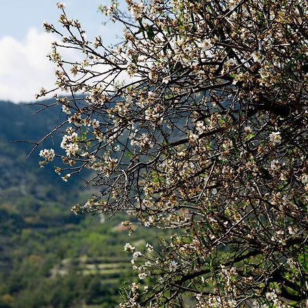 Dhoros The Old Olive Mill House By Trulycyprus 빌라 외부 사진