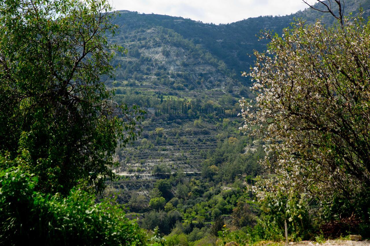 Dhoros The Old Olive Mill House By Trulycyprus 빌라 외부 사진