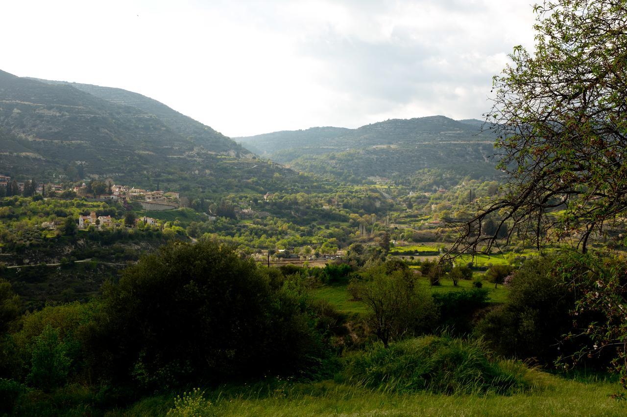 Dhoros The Old Olive Mill House By Trulycyprus 빌라 외부 사진